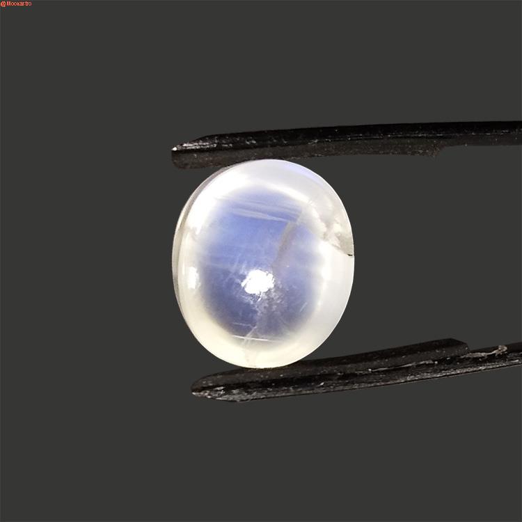 blue moon stone ( ceylon ) premium